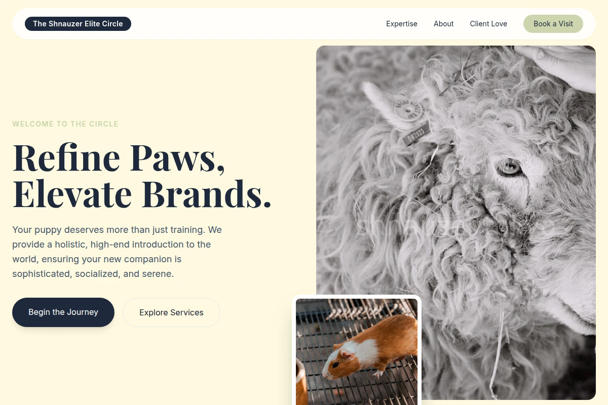 Puppy Animal Care