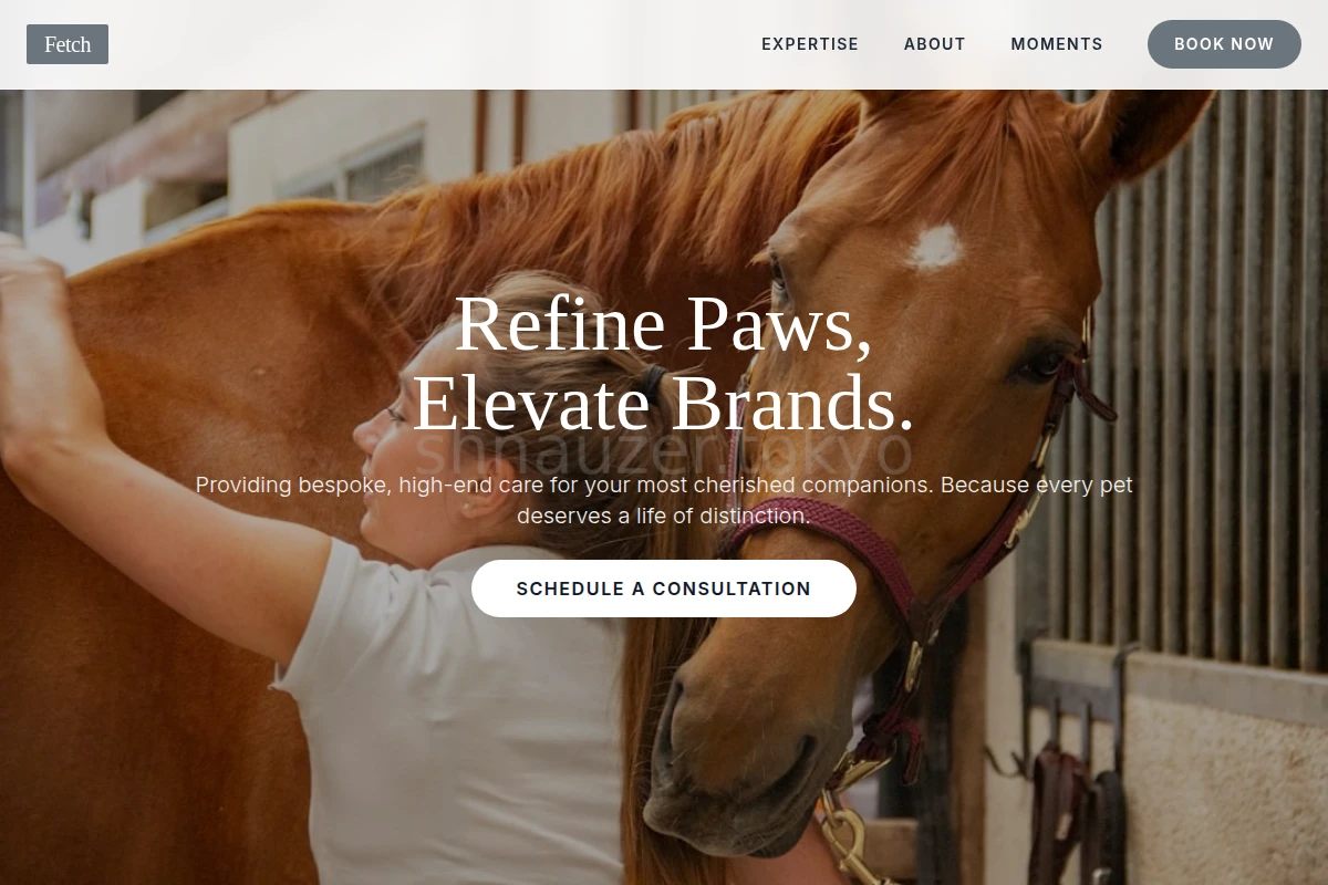 Fetch Animal Care