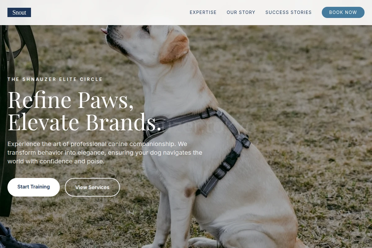 Snout Dog Training