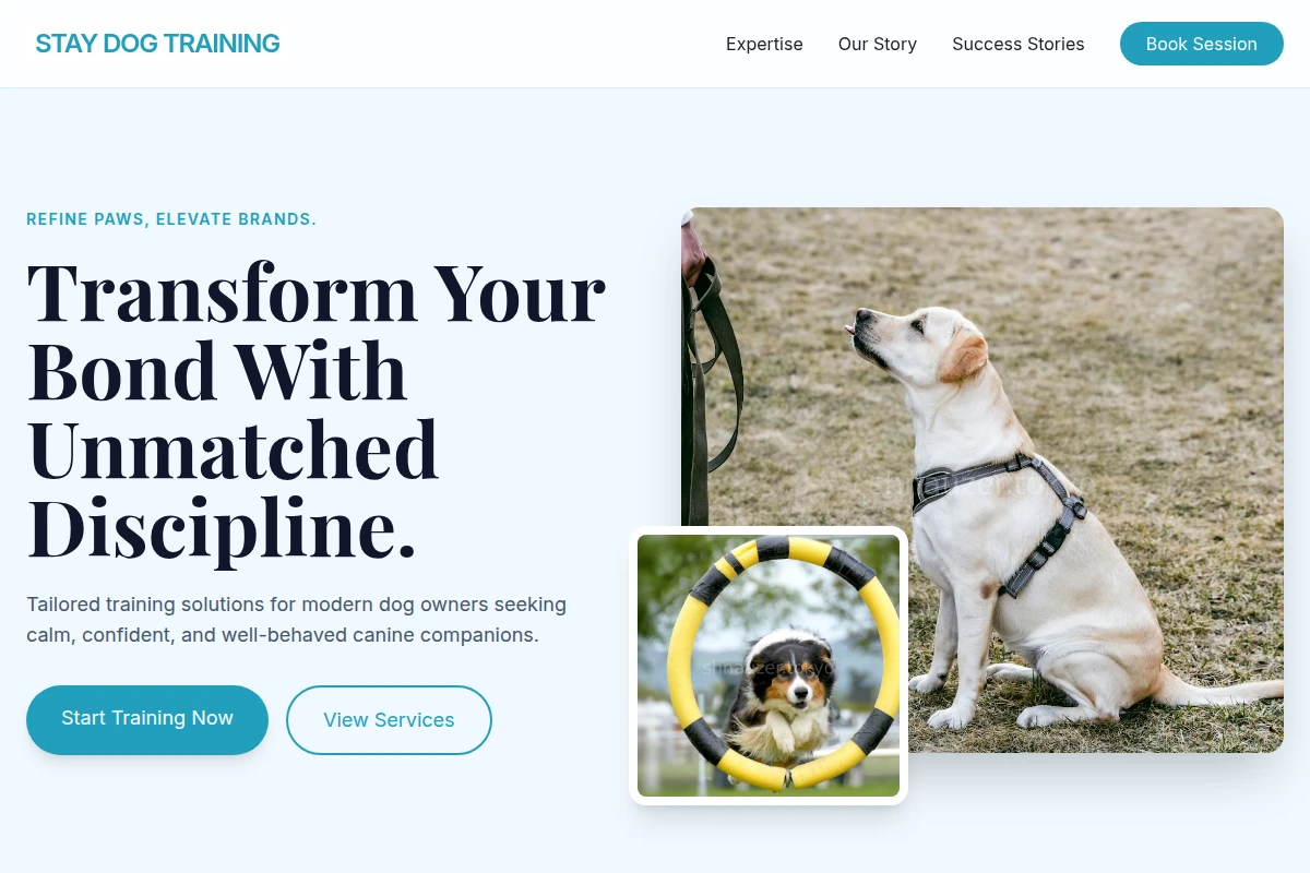 Stay Dog Training