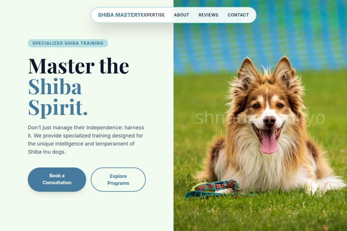 Shiba Dog Training