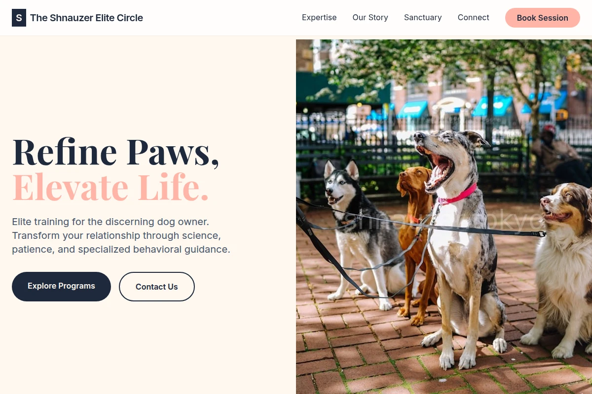 Sit Dog Training