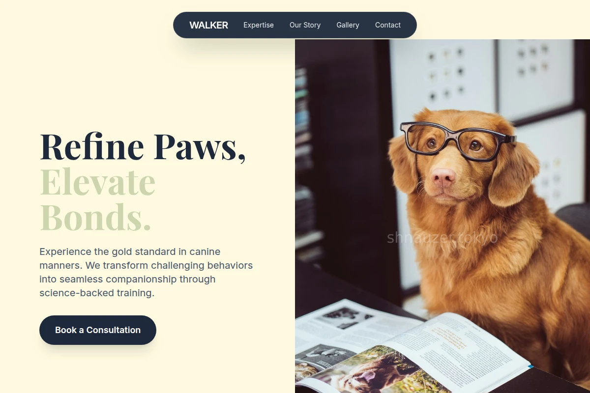 dog-training