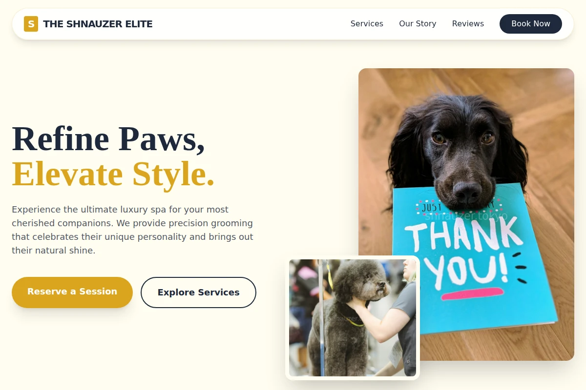 Stay Pet Grooming